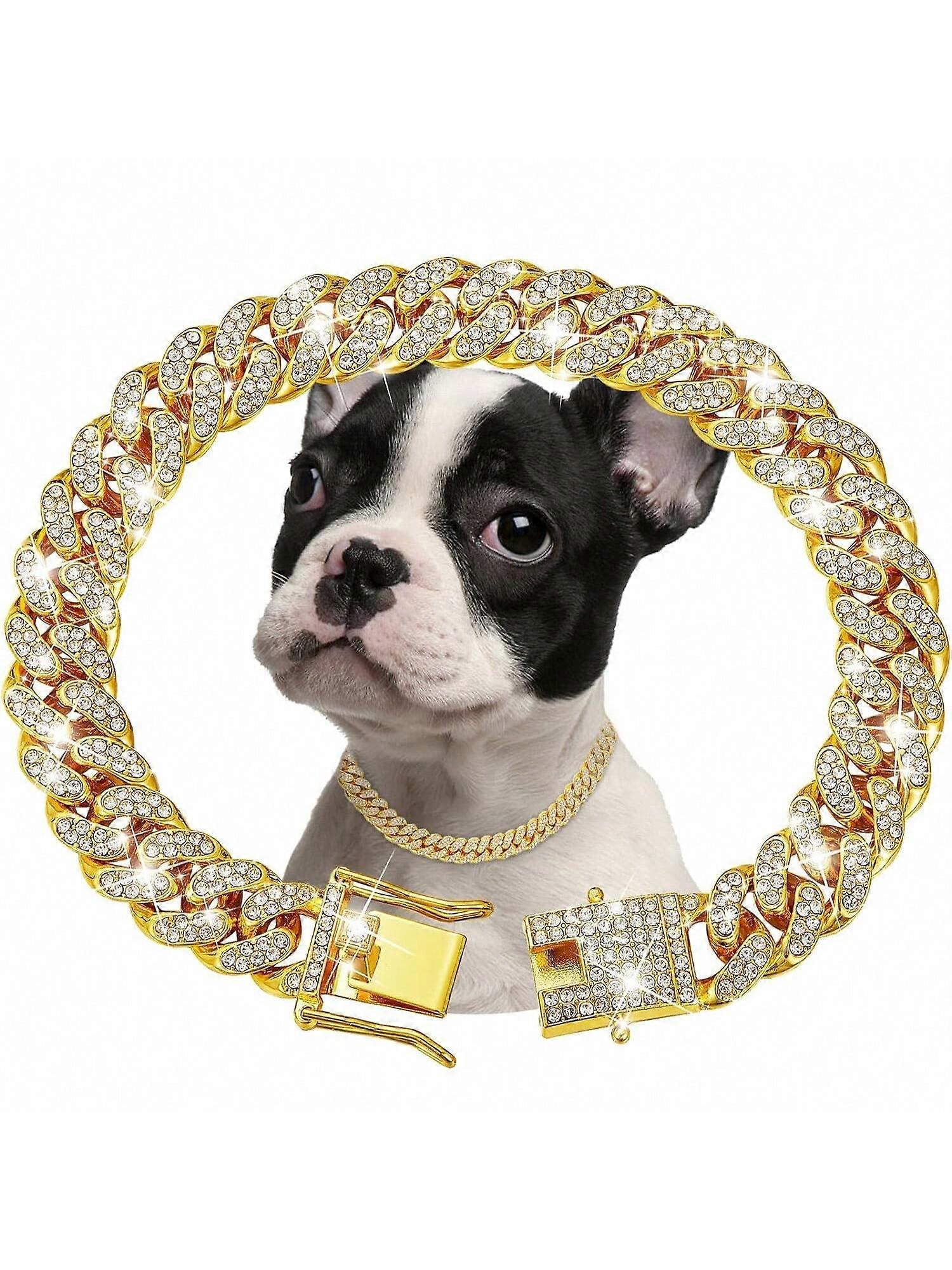 طوق الماس مع سلسلة معدنية وتصميم مشبك الأمان ، تبعي مجوهرات طوق معدني للحيوانات الأليفة