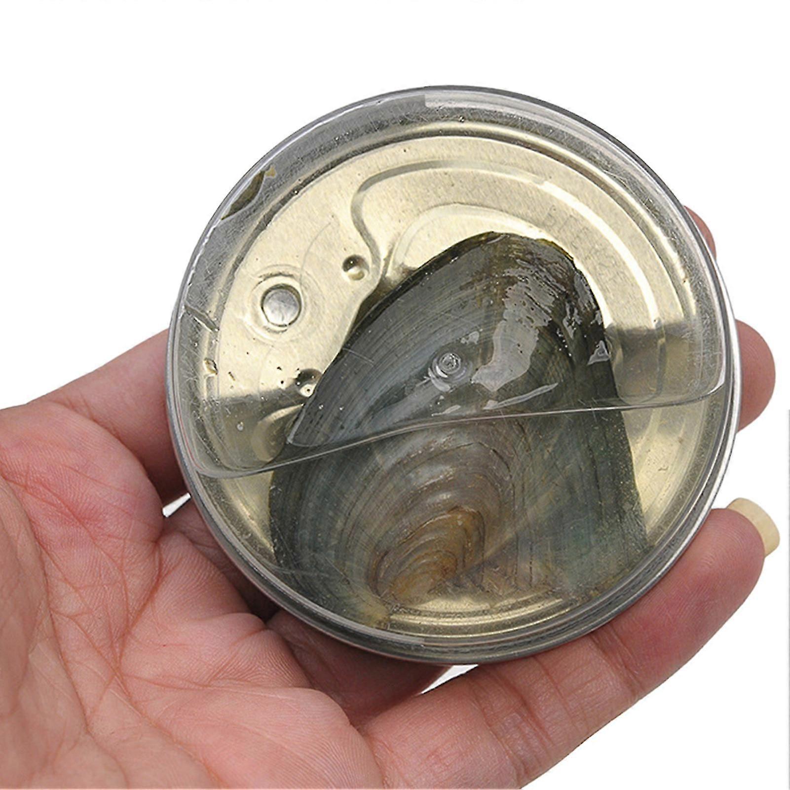 Kit Colar de Pérolas Desejo Inovador com Gaiola Pingente Misterioso Presente de Pérola Conjunto Grande Presente para Meninas