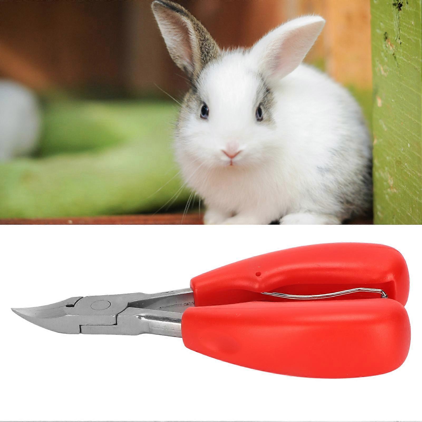 Pig Tooth Nipper Multifunctional Piglets Teeth Clipper for Piglets RabbitS Small AnimalsRed 