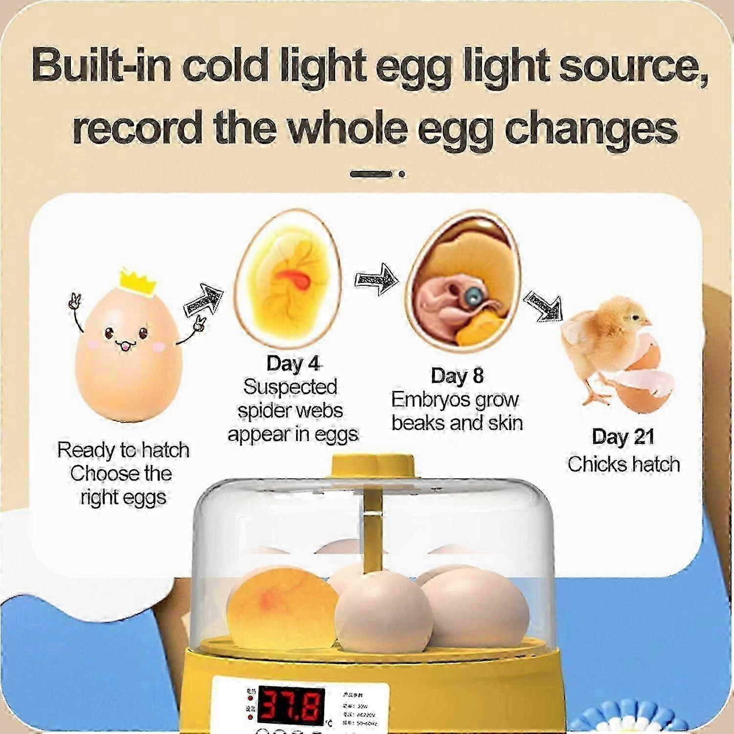 Egg Incubator 4/6/18Piece Automatic Turning, Temperature Control, Water Fill Hole For Quail, Duck, Chicken, Pigeon Eggs