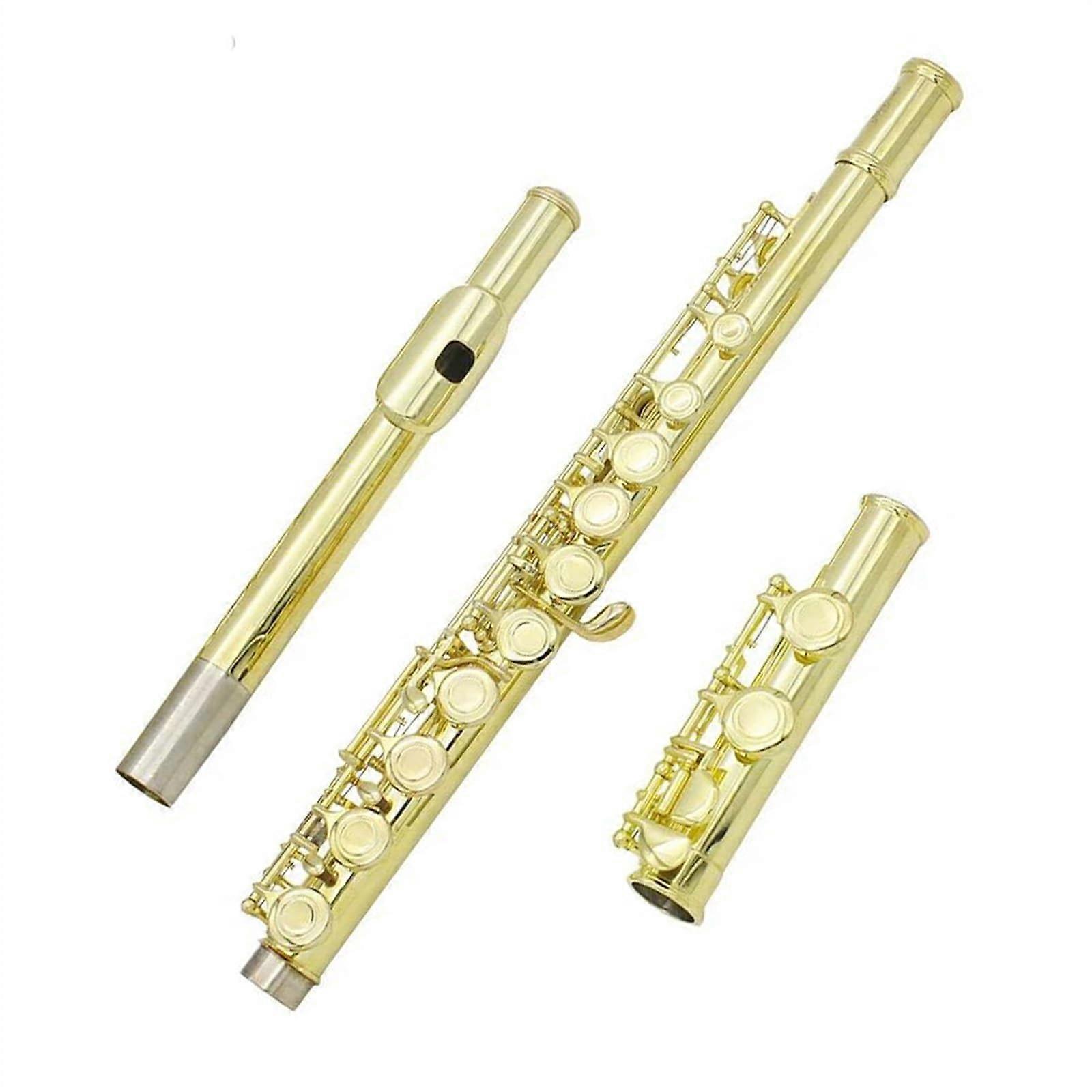 Gold Plated 16 Closed Hole C Concert Flute with E Key, Durable Cupronickel Body for Beginners