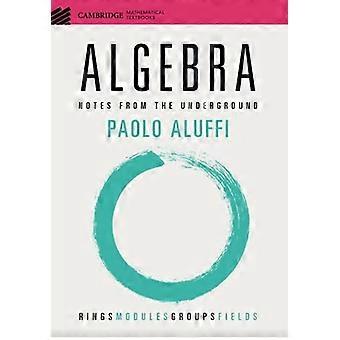 Algebra: Notater fra undergrunnen (Cambridge Mathematical Textbooks)