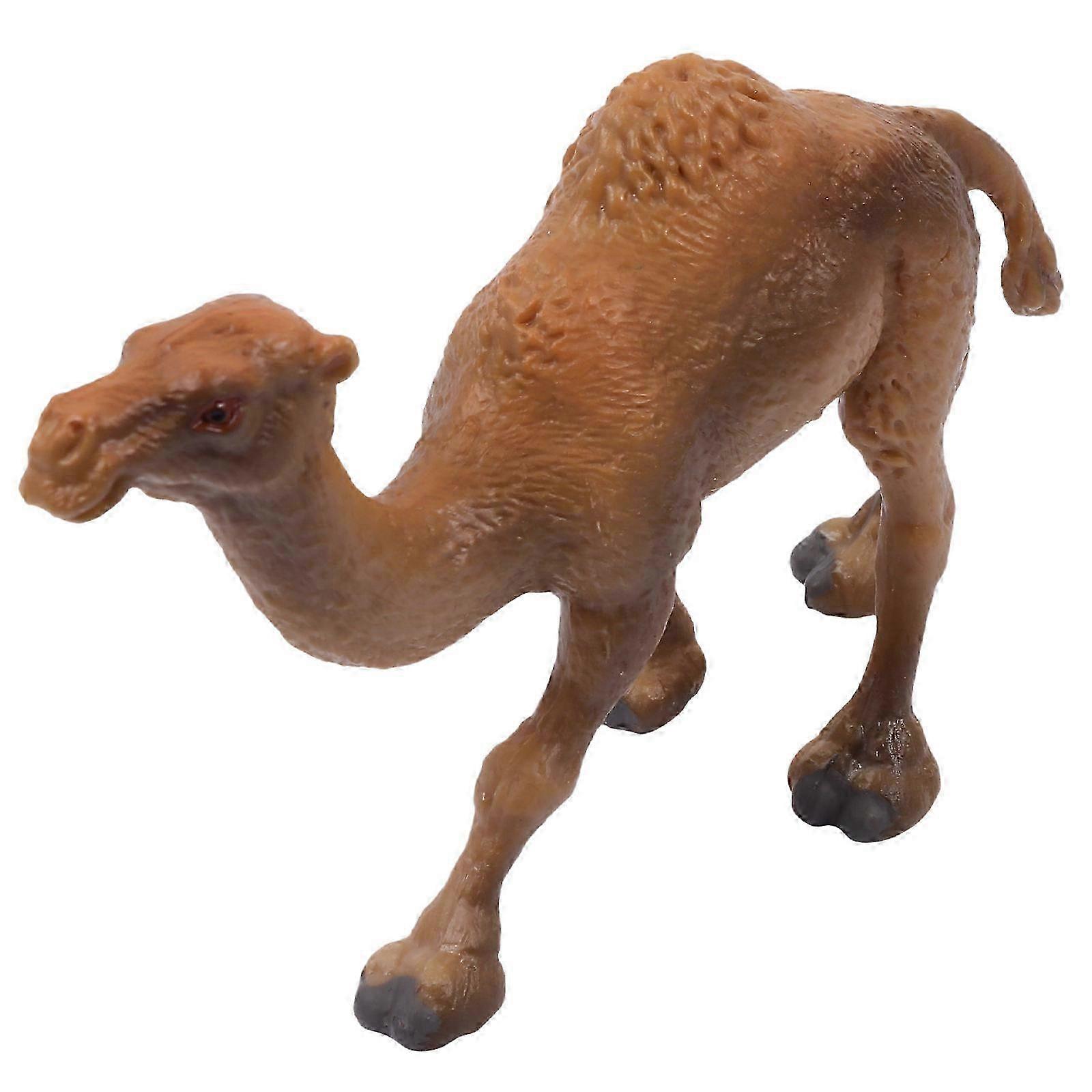 Khaki Camel Model Educational Tool