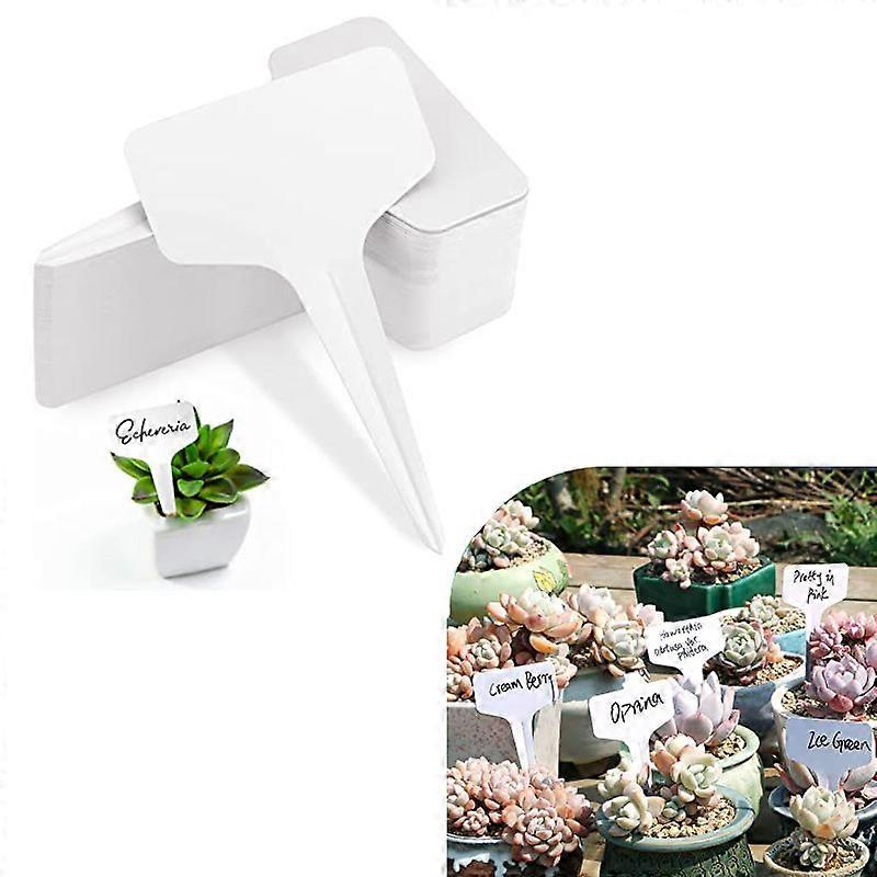 Plant Labels, Seedling Label, 120x T-type Vegetable Label (6 x 10 cm), Waterproof Labels, Reusable Label (White60)