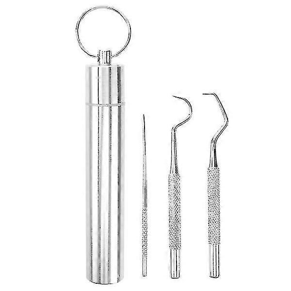 1 Set Stainless Steel Toothpicks Portable Tooth Hooks Teeth Clean Tools