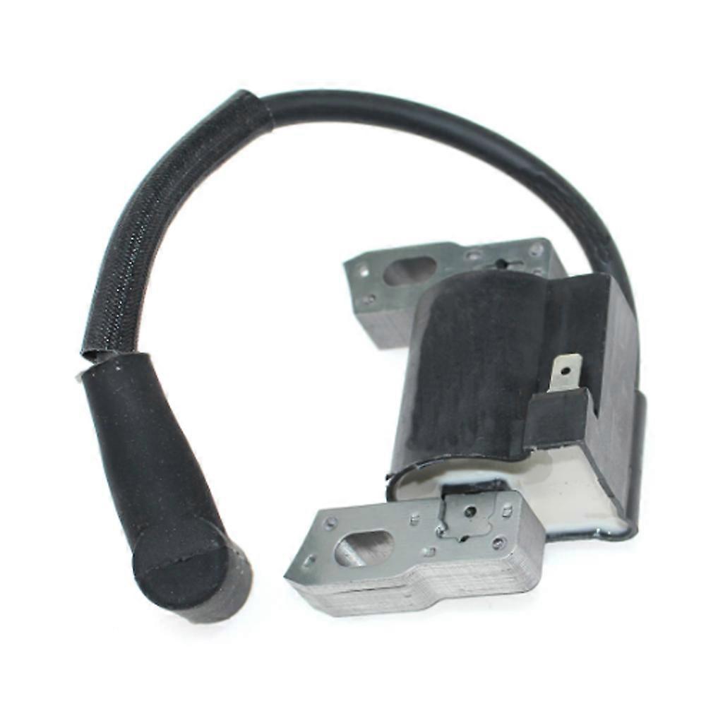 suitable for Ignition Coil Fit For Briggs & Stratton Professional 800E ...