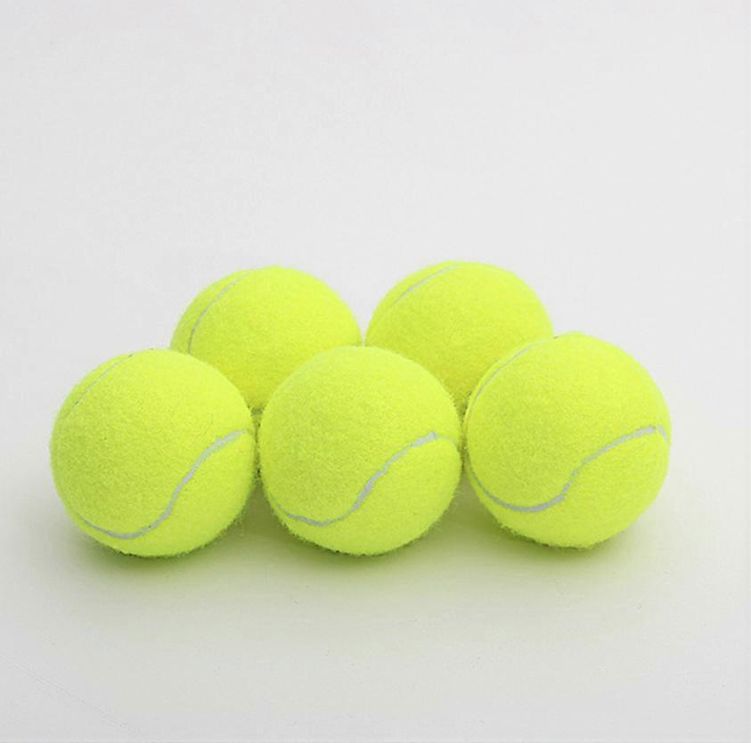 Τένις, 18 Stck Langlebige Τένις bungsblle Hundespielzeugblle mit Mesh Tragetasche fr Kinder Erwachsene bungs Haustiere Εκπαίδευση