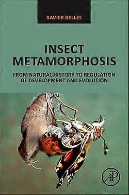 Métamorphose des insectes