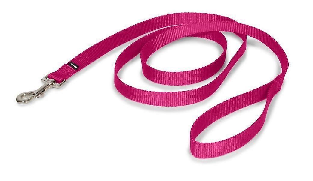 Nylon Dog Collar Raspberry 3/4 Inch x 4 Inch - Durable Traditional Style Collars for Medium to Large Dogs