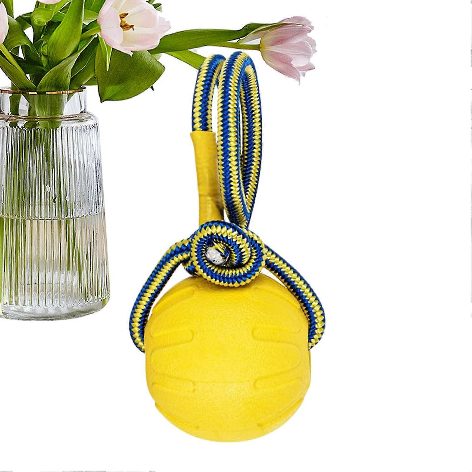 Jolly Ball for Dogs, Chew Training Ball with Handle, Indestructible, Interactive Puppy Toy, Pet Accessories, Dental Knot for Small and Medium Dogs