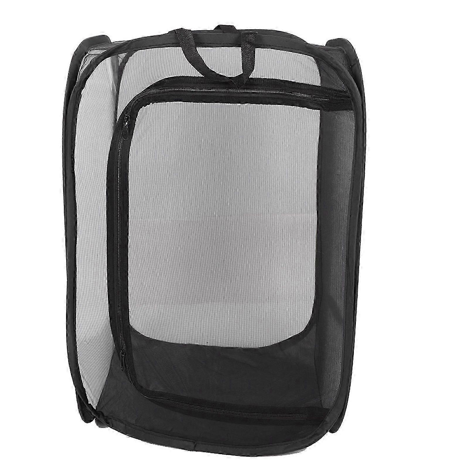 Foldable Stick Insect Cage - Breathable Mesh Enclosure for Breeding and Housing Insects
