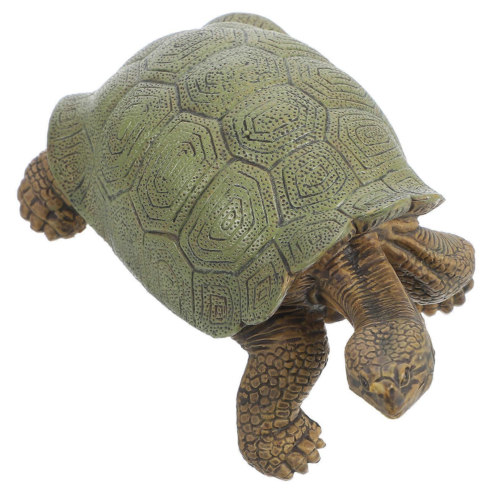 Simulation Turtle Toy Plastic Fake Turtle Figure for Decor 5Pcs