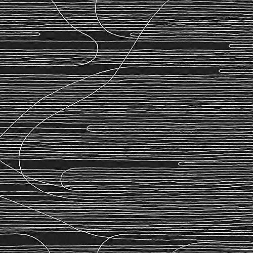 Oneida - Absolute II  [VINYL]