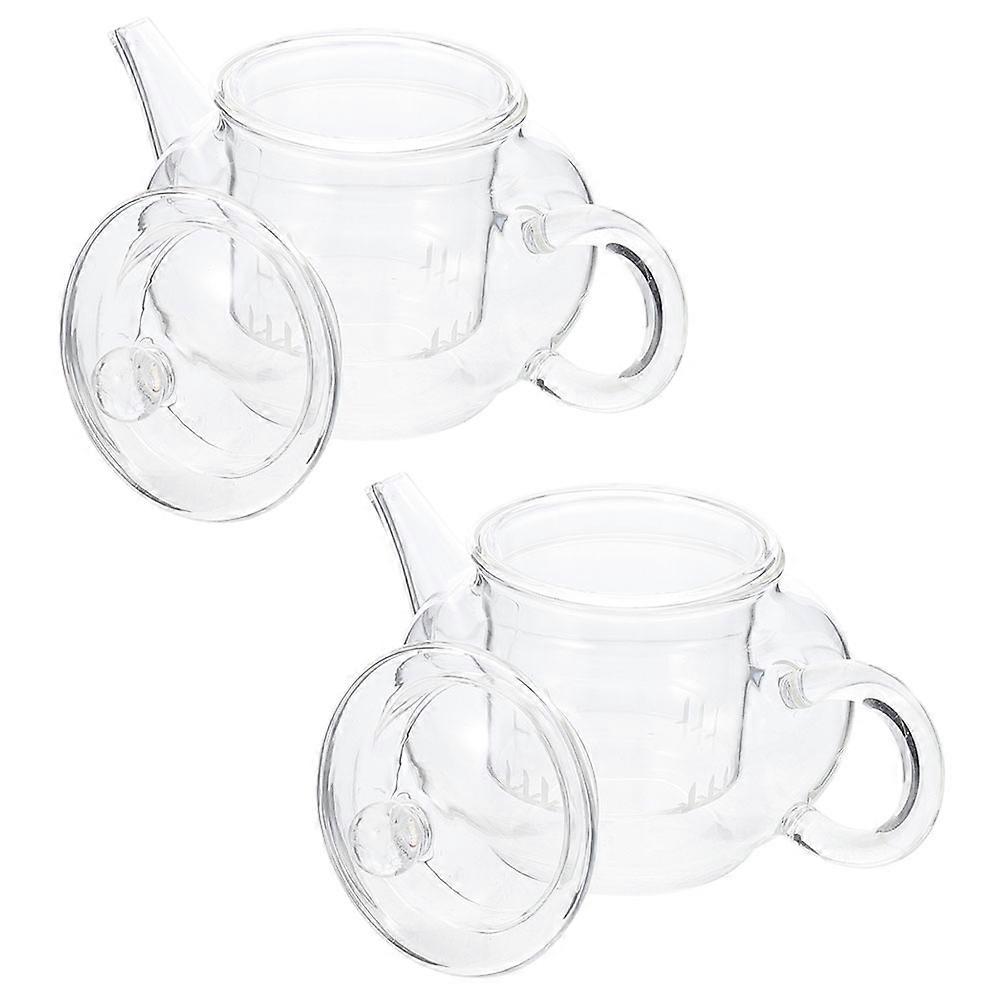 Transparent Thick Glass Tea Kettle for Home Use 2Pcs Handheld Teapot