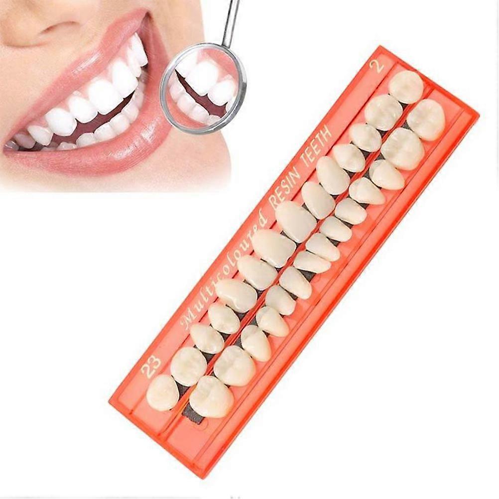 28Pcs/Set Resin Teeth Model Durable Dentures Universal Resi False Teeth