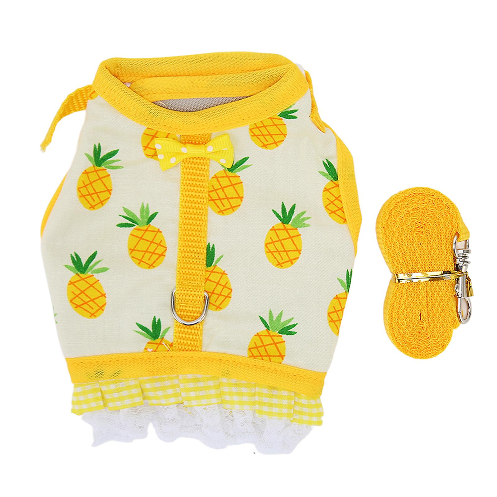 Rabbit Vest and Leash Set, Fruit Print, Lace Hem, Hook and Loop, Small Animal Harness Set for Chinchilla, Ferret, Size M
