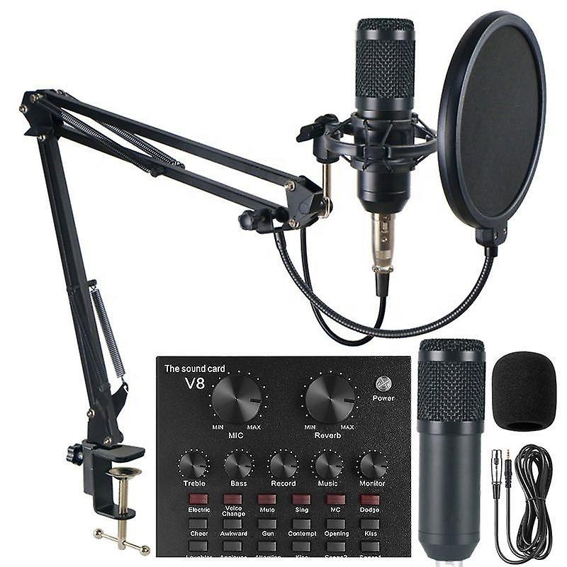 Professional audio interface external live karaoke microphone V8 sound card condenser microphone