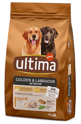Ultima Golden e Labrador (Cães , Ração , Ração seca)