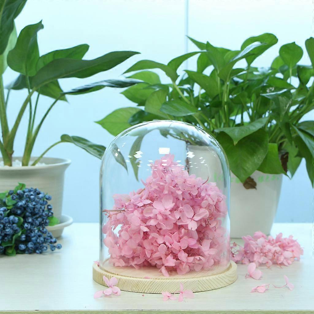 Dôme en verre en bois avec base en bois Cloche Couvercle en verre Porte-vase à fleurs A