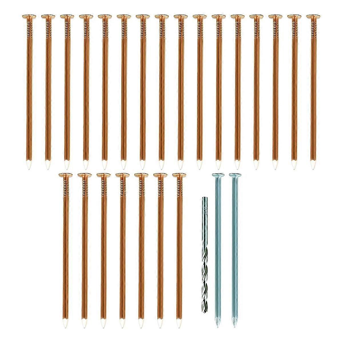 Copper Nails to Killing Trees,3.5 Inch Pure Copper Nails Bulk,Stump Removal Spikes Hardware Nails f