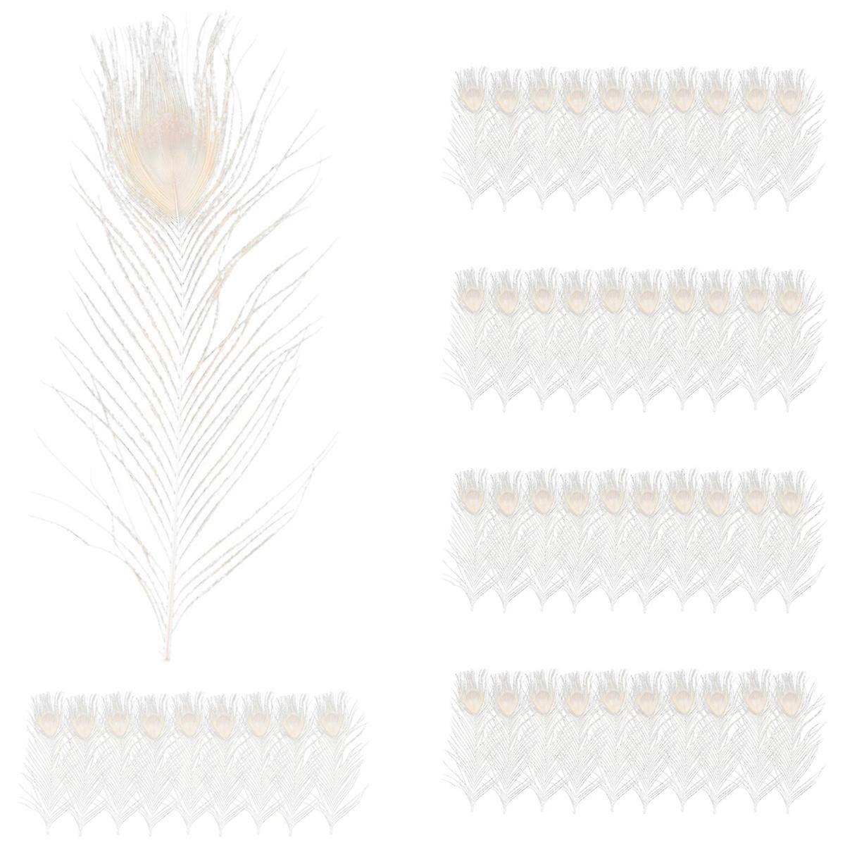 50 PCS/White Peacock Feathers in the Eye, 10 to 12 Inches Decoration