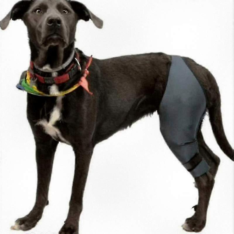 Knee Support Brace for Dogs - Ideal for ACL Injuries, Knee Cap Dislocation, and Arthritis - Provides Warmth, Extra Support, and Reduces Pain
