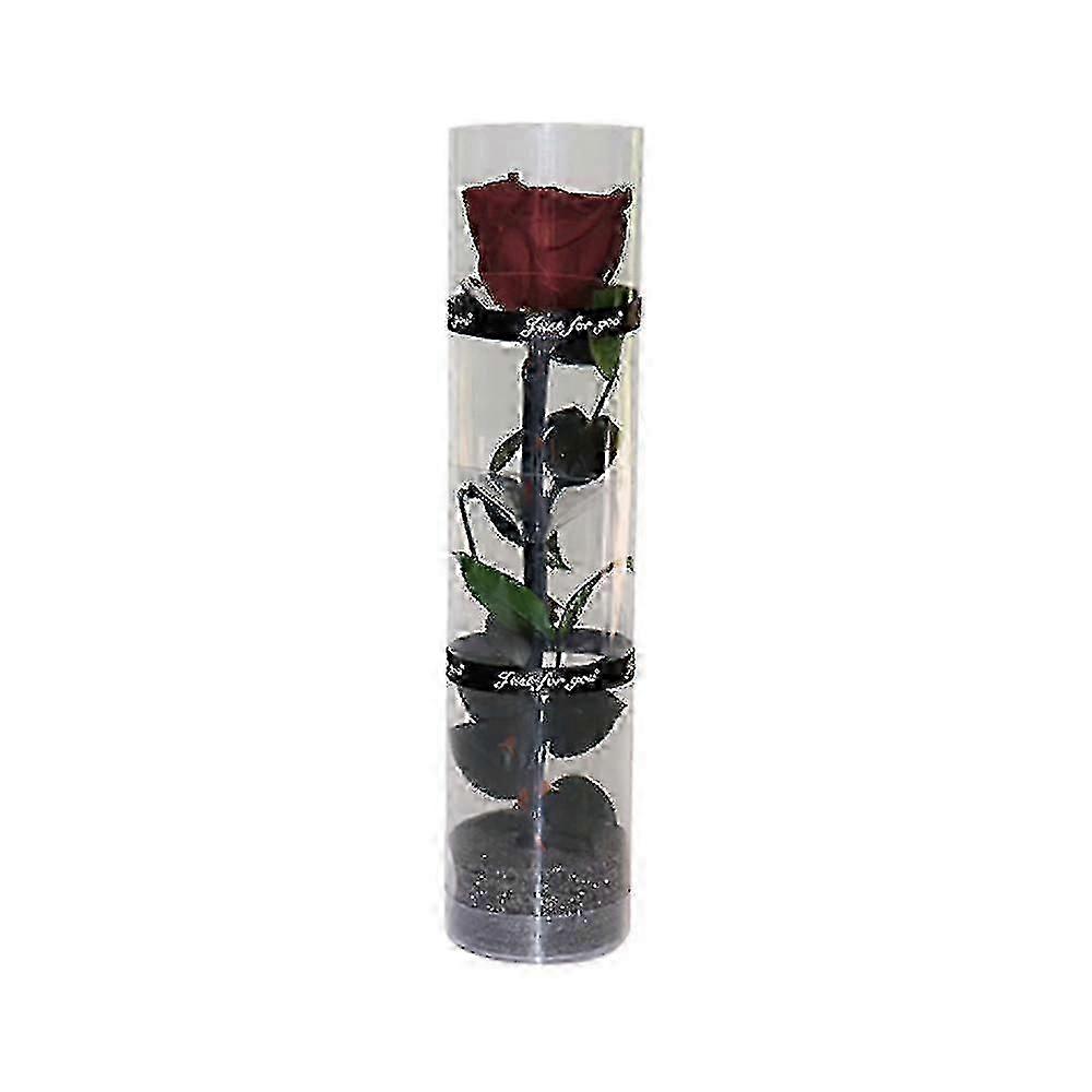 Véritable rose préservée et éternelle, floraison durable et éternelle