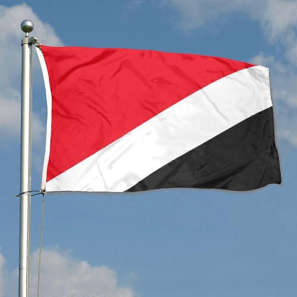 Sealandin lippu Vierkleurin lippubanneri Ulko- ja sisäkoristelulippu Haalistumaton ja kirkasvärinen QI 1246