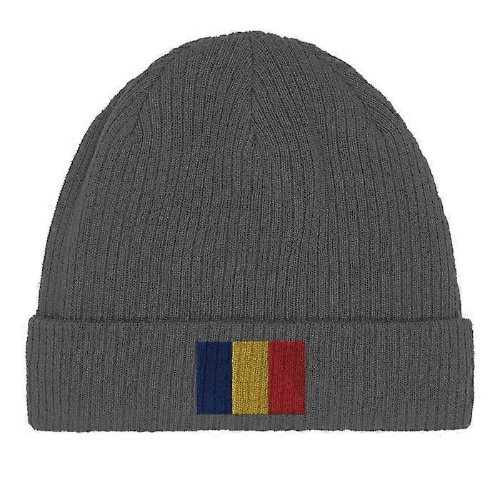 Romanian Flag Cap in Gray