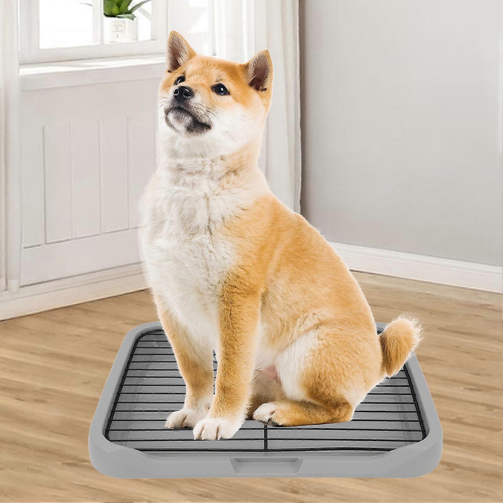 Dog Training Toilet Removable Stable Structure Prevent Tipping Puppy Potty Training Tray for Small Medium Dog 