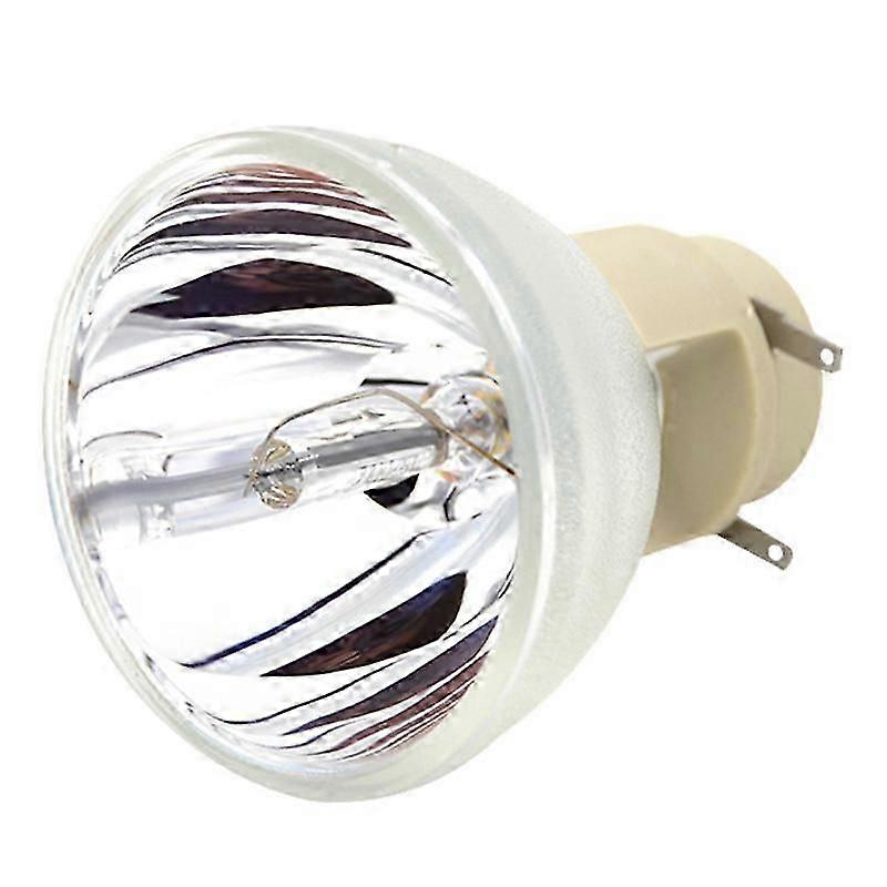 Compatible W1070 W1070+ W1080 W1080ST HT1085ST Projector Lamp Bulb