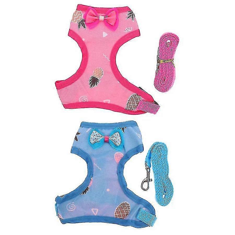 Dog Leash Set 2 Pack