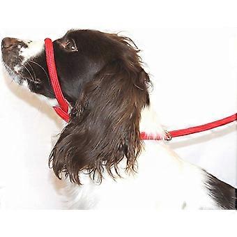 Soft Nylon Anti-Pull Dog Halter - Adjustable Comfort Fit with Instructions Included - Red