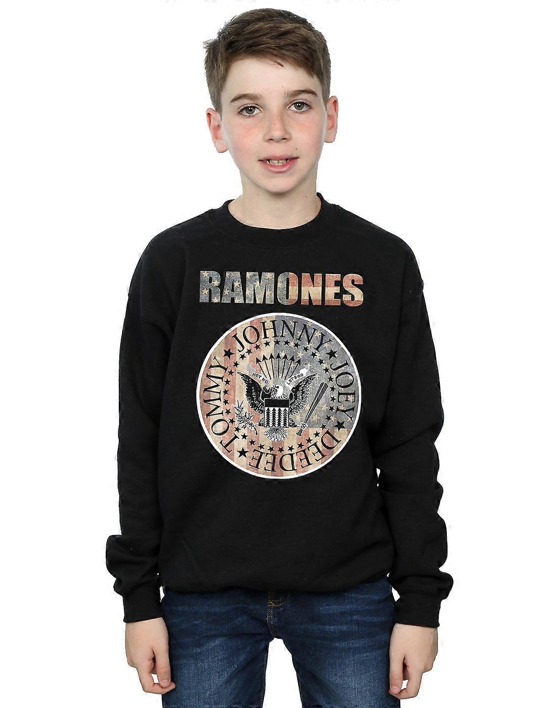 Ramones Boys Flag Seal Sweatshirt