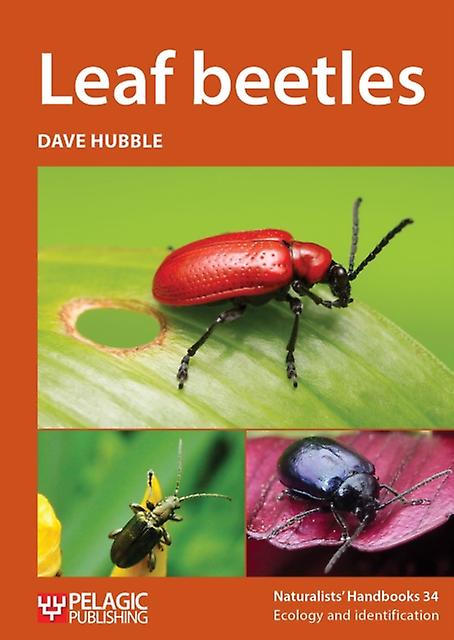 Leaf Beetles by Dave Hubble Paperback Book