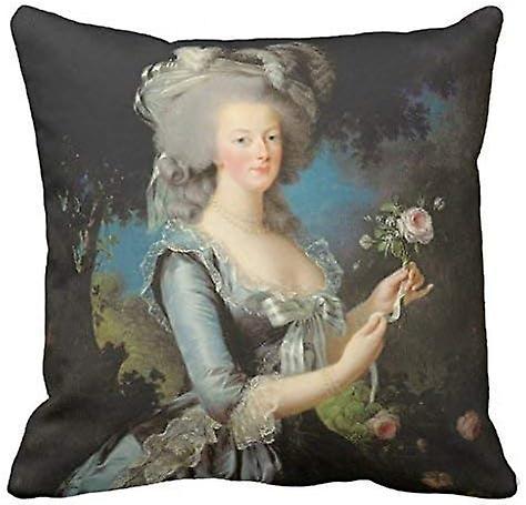 マリー・アントワネットとローズホームデコラティブソフトスロー枕カバークッションカスタム枕カバーカバープロテクタージッパー付き標準プリント(45x45cm)