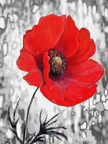 Full Drill Diamond Painting Flower Poppy 5d Wall Decor Diamond Embroidery Mosaic Black Red Cross Stitch Gift