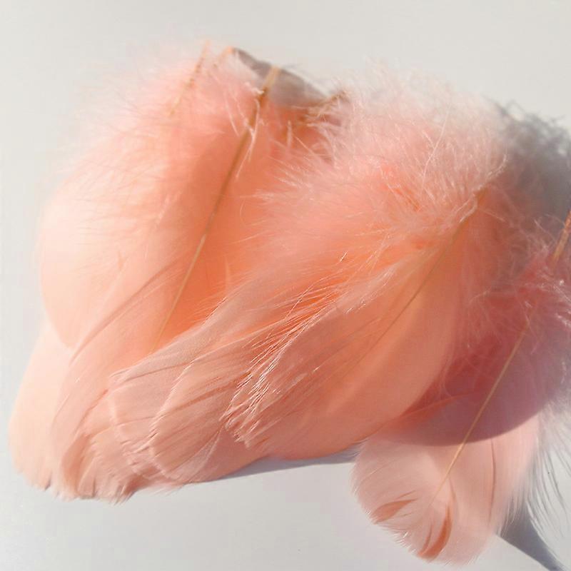 Sowder Plumas de Ganso Natural Accesorios de Ropa Pack de 100 (champán)