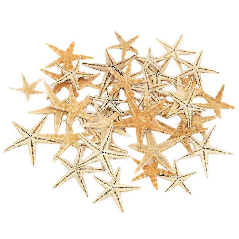 Plastic Starfish Model For Decor-c