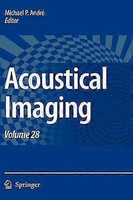 Acoustical Imaging