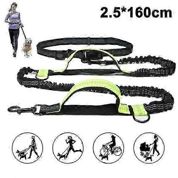 Bran Hands-Free Dog Leash with Two Bungees and Long Nylon Leash