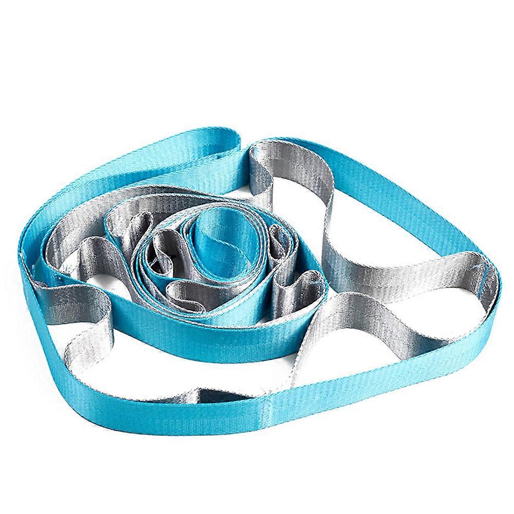 Yoga Strap, Multi-Loop Strap, Non-Elastic Stretch Strap for Physical Therapy, Pilates, Dance,Blue