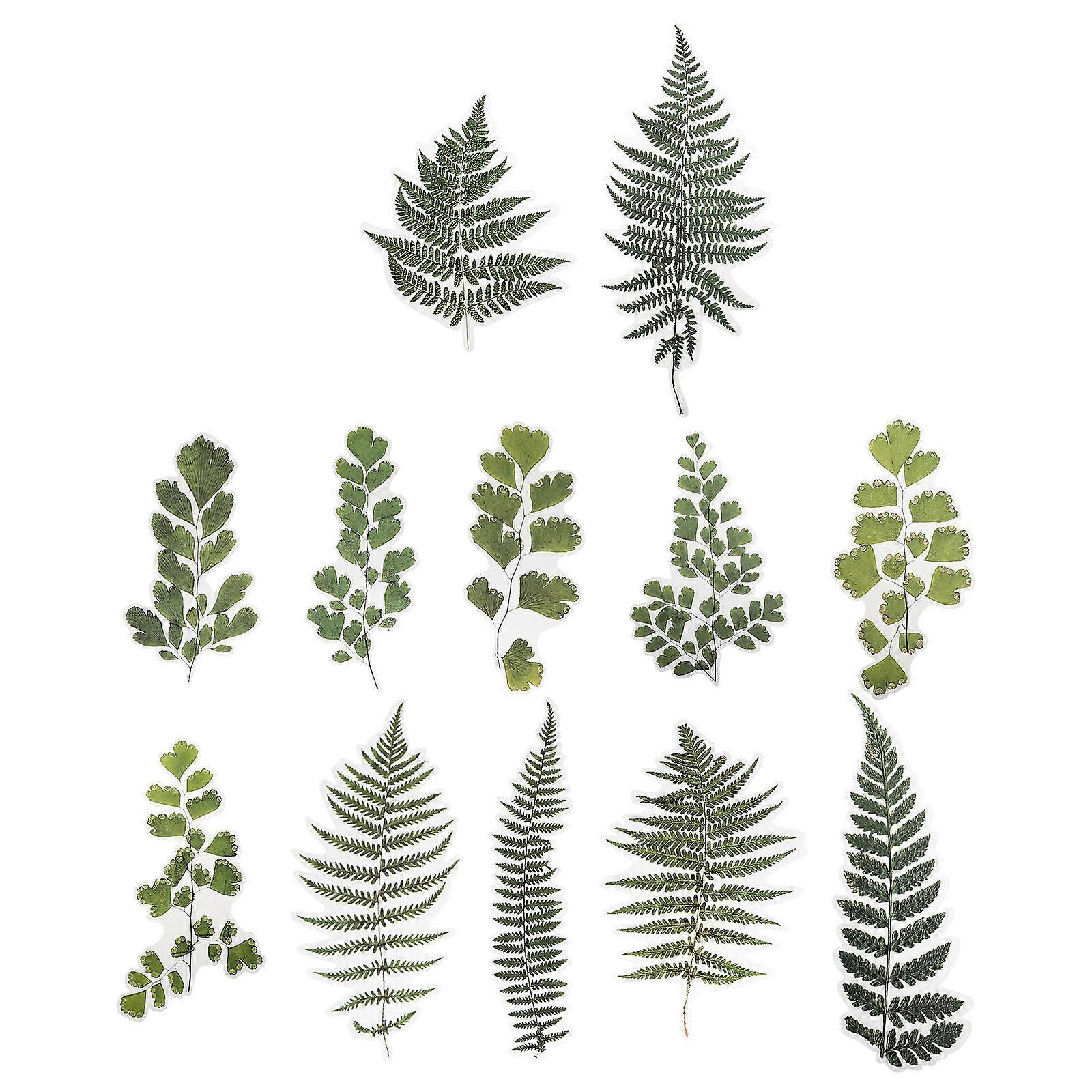 Scrapbook Embellishments Diy Plant Sticker Album Diary Decals Creative Design 7.98X3.73inch Decorative 12 Sheets