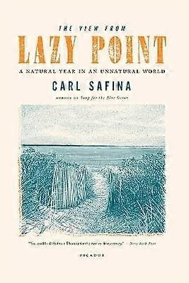 View from Lazy Point