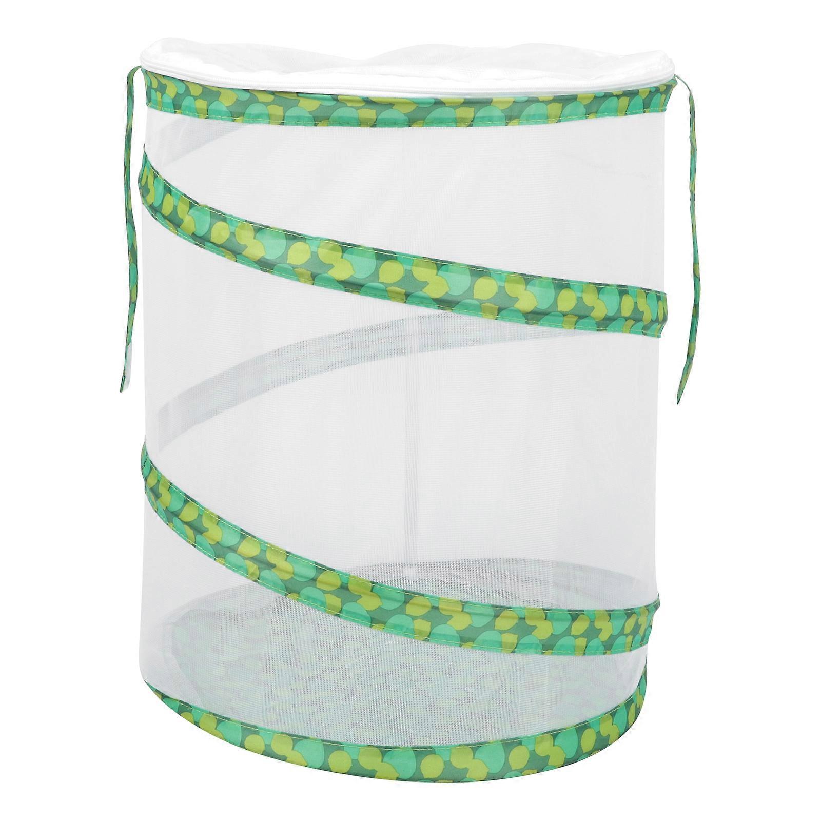 Observation Container Insect Breeding Cage for Outdoor Use 5Pcs Set Green