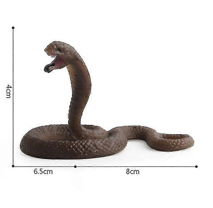 Limb Insect Animal , Mantis Table Rat