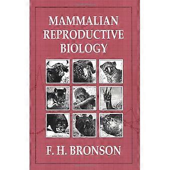 Fortpflanzungsbiologie von Säugetieren