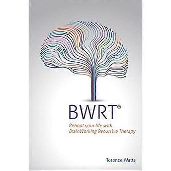 BWRT: Start je leven opnieuw op met BrainWorking Recursieve Therapie