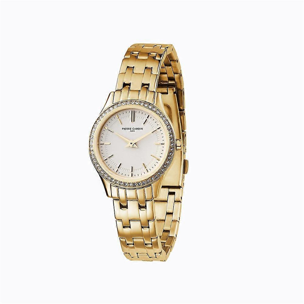 Watches Pierre Cardin cf0607seg