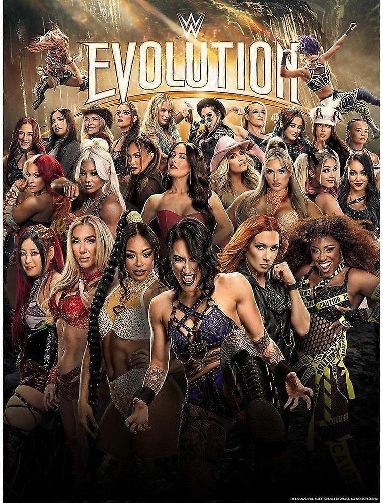WWE 2025 Evolution Jigsaw Puzzle Brain Teaser V2831